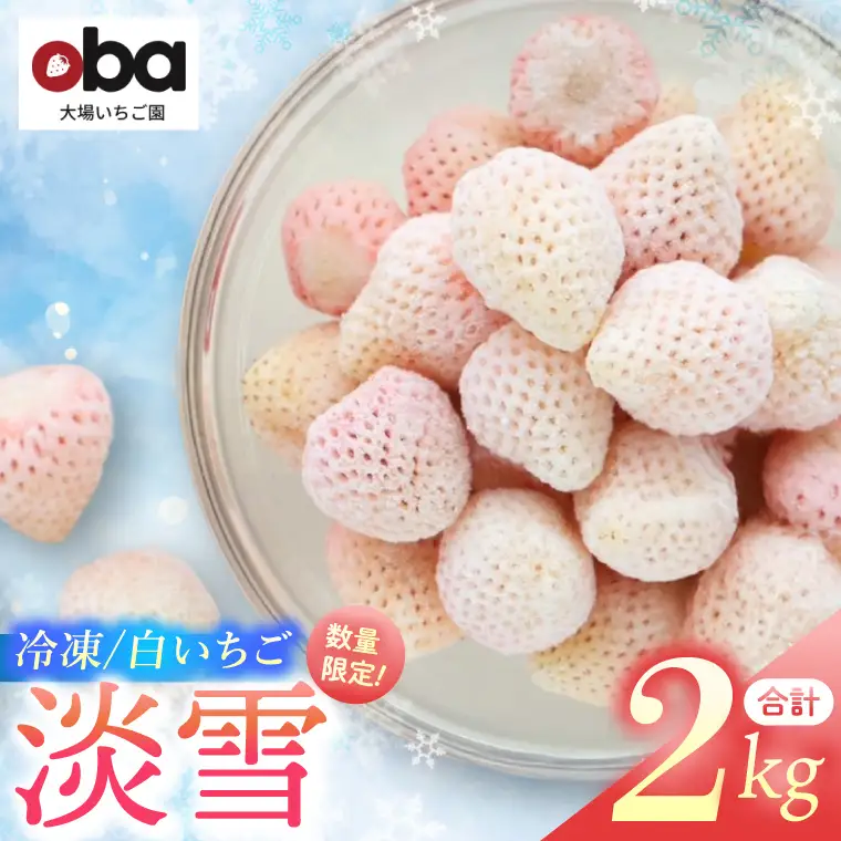 【数量限定】冷凍いちご 希少なプレミアム白イチゴ『淡雪』1kg入×2袋 合計2kg オリジナルレシピ有り（DO-1）