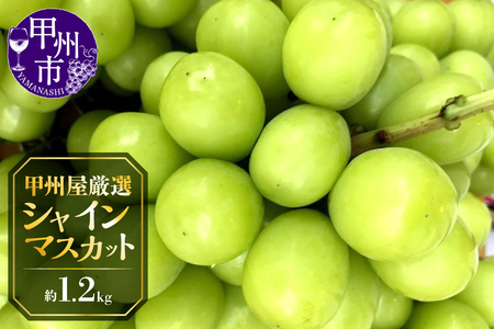 甲州屋厳選 シャインマスカット 約1.2kg 2～3房【2026年発送】B-116 シャインマスカット フルーツ