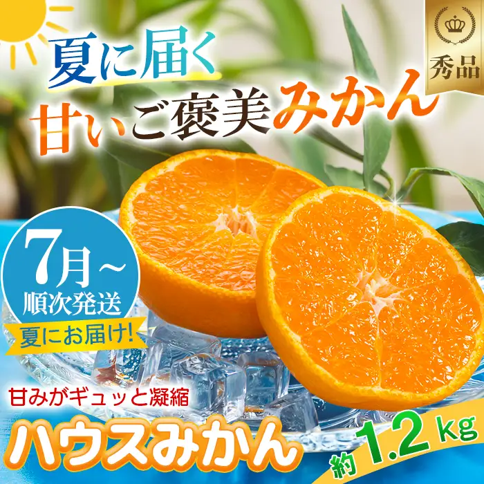 【秀品】ハウスみかん 約1.2kg 【今村農園】2026年 7月 夏 発送 甘い 果物 フルーツ ギフト 柑橘 温州 みかん 先行予約 数量限定 期間限定 九州 大分県 おすすめ ＜107-006＞