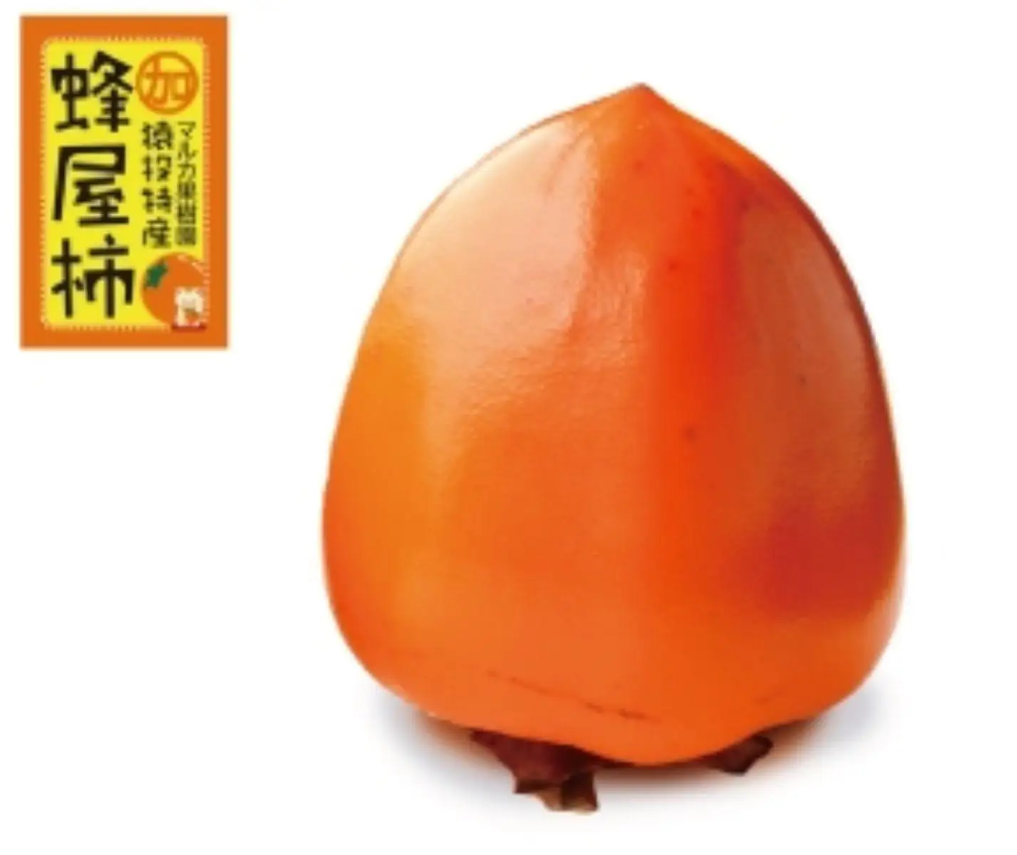 ＜先行受付＞蜂屋柿　約6kg 【2026年10月中旬以降順次発送】