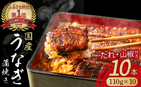 うなぎ蒲焼き10尾セット ( 110g × 10尾 ) 高知うなぎ 国産 冷凍 四万十 土用の丑の日 ／Esu-117