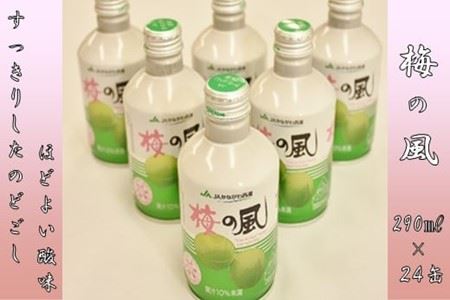 ＪＡかながわ西湘　梅の風（清涼飲料水）　２９０ｍｌ×２４缶