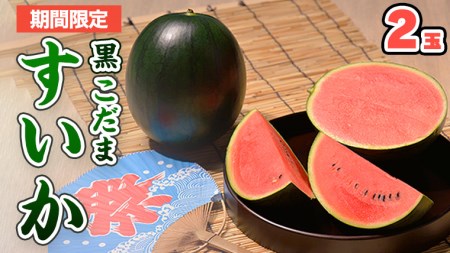 黒こだま すいか 2玉 《2026年7月上旬から発送開始》 [BQ014sa]