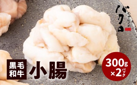 黒毛和牛 小腸 （ ホルモン ） 300g 入り × 2パック K130-002 肉 牛肉 冷凍