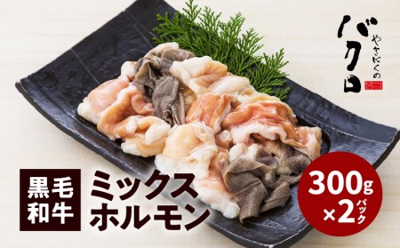 黒毛和牛ミックスホルモン300g入り×2パック K130-003 肉 牛肉 冷凍
