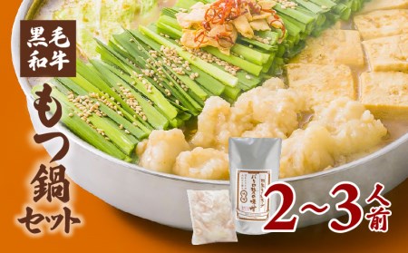 黒毛和牛もつ鍋セット2～3人前 K130-004 肉 牛肉 冷凍