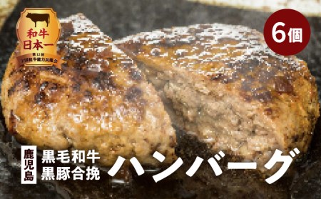 鹿児島黒毛和牛×鹿児島黒豚合挽ハンバーグ（湯煎タイプ・ソース入り）6個 K130-007 肉 豚肉 牛肉 惣菜 総菜 冷凍