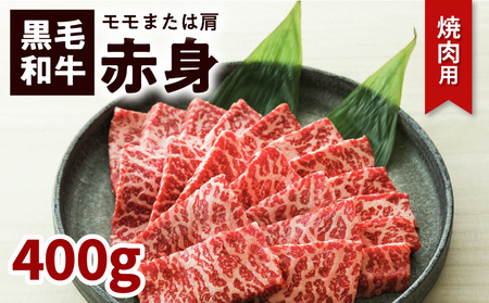 鹿児島黒毛和牛赤身焼肉用（モモまたは肩）400g入り K130-009 肉 牛肉 冷凍