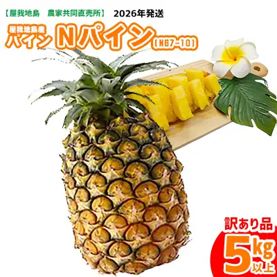 《訳あり品》2026年【屋我地島　農家協同直売所】屋我地島産Nパイン(N67-10)約5kg 訳あり品 屋我地島 沖縄 国産 パイナップル Nパイン ハワイ種 ぱいん N67-10 送料無料 ご当地 お取り寄せ 果物 くだもの 果実 ふるさと納税 名護 デザート フルーツ トロピカル