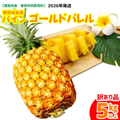 《訳あり品》2026年【屋我地島　農家協同直売所】ゴールドバレル約5kg 訳あり品 沖縄 バレル パイナップル パイン ぱいん 県産 名護 訳あり わけあり 送料無料 ご当地 ふるさと納税 お取り寄せ 生産者応援 ５キロ くだもの 果物 デザート フルーツ