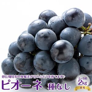 【先行予約】【ＪＡ】 ピオーネ （種なし） 赤秀2kg箱（3～5房入） ※着日指定不可　※離島への配送不可　※2026年8月初旬頃～8月下旬頃に順次発送予定   | ぶどう ピオーネ