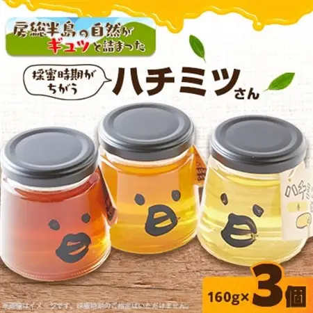 いすみ市の『ハチミツさん』160g×3個_調味料 はちみつ  ハチミツ 蜂蜜_【1391526】