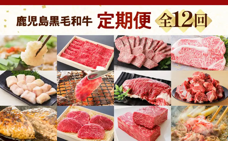 【全12回】鹿児島黒毛和牛定期便 K130-T01 肉 牛肉 冷凍