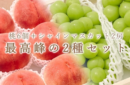 【定期便】甲州市自慢の“大玉桃6個”と“大粒シャインマスカット2房”のセット 自然農法【2026年発送】（BNC）E9-101 桃 シャインマスカット フルーツ