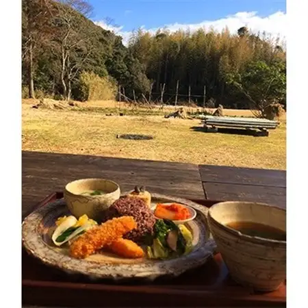 マクロビランチ+いすみ川SUPリバークルーズ体験(2名様)_旅行券・チケット 食事券    旅行券・チケット  体験チケット _【1072357】