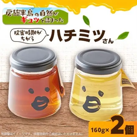 いすみ市の『ハチミツさん』160g×2個_調味料 はちみつ  ハチミツ 蜂蜜_【1391527】