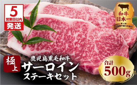 【5営業日以内に発送】鹿児島黒毛和牛の極上サーロインステーキセット 500g K134-003 肉 牛肉 冷凍 スピード配送 最短 すぐ届く お急ぎ
