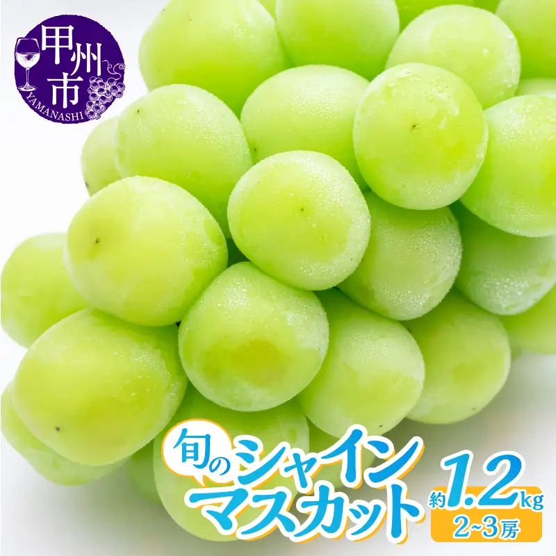 産地直送 山梨自然の恵み！旬のシャインマスカット 2～3房 約1.2kg【2026年発送】（LKS）B12-160 シャインマスカット フルーツ