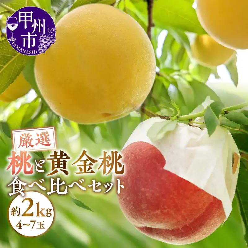 甲州市産 厳選！桃と黄金桃の食べ比べセット 約2kg（4～7玉）【2026年発送】（APX）B12-196 もも フルーツ