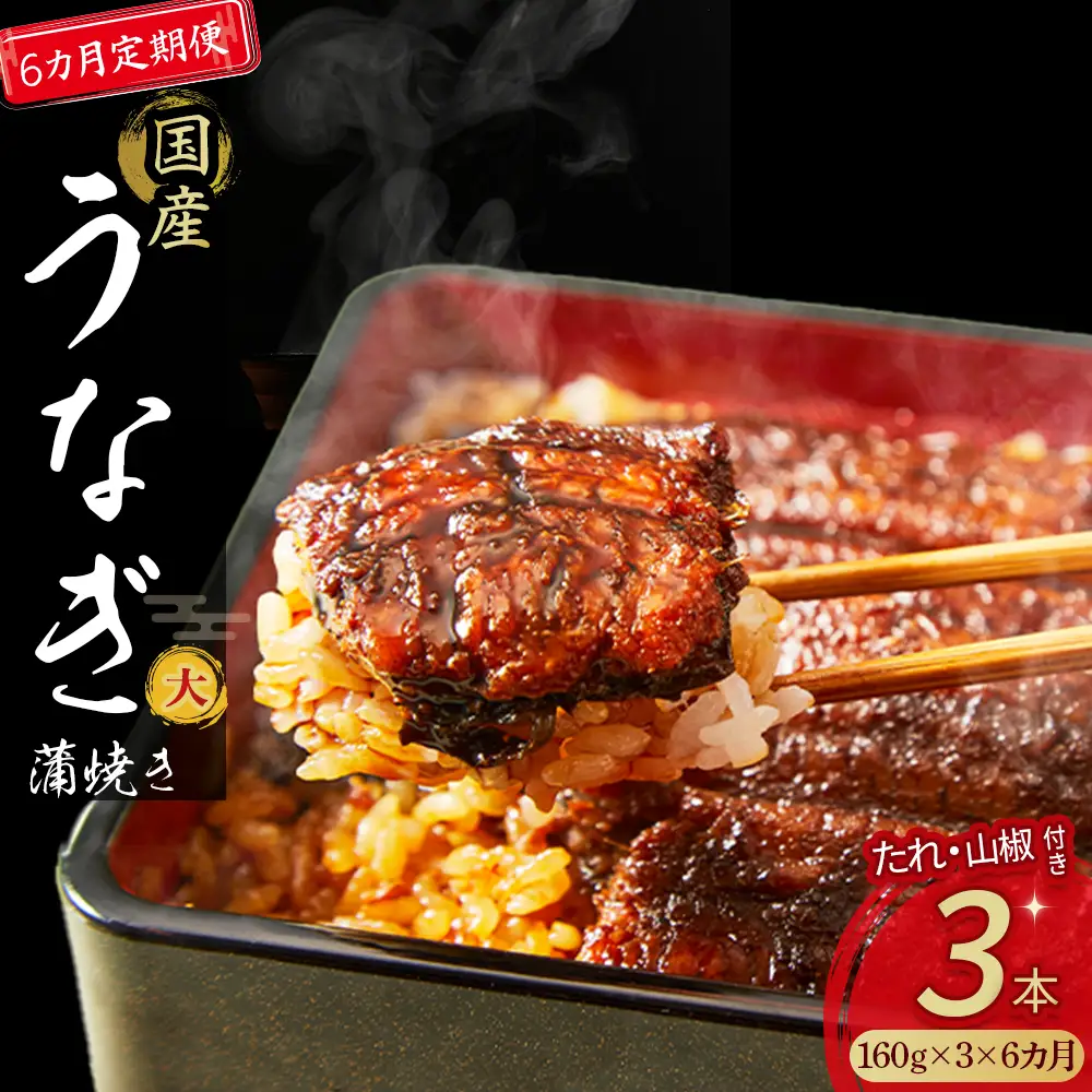 〈鰻大好き定期便〉四万十うなぎ蒲焼き≪大≫（160g x 3本）6カ月セット／ うなぎ うなぎ蒲焼 高知うなぎ 国産うなぎ うな重 鰻 国産鰻 高知鰻 冷凍鰻 鰻蒲焼 四万十うなぎ 土用の丑の日