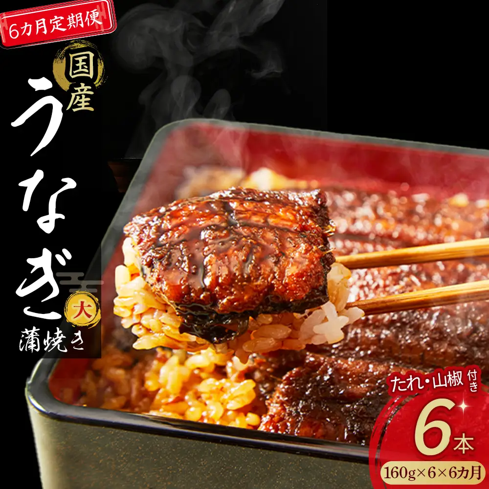 〈鰻大好き定期便〉四万十うなぎ蒲焼き≪大≫（160g x 6本）6カ月セット／ うなぎ うなぎ蒲焼 高知うなぎ 国産うなぎ うな重 鰻 国産鰻 高知鰻 冷凍鰻 鰻蒲焼 四万十うなぎ 土用の丑の日