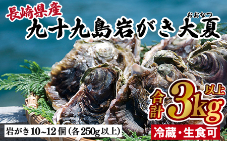 牡蠣【夏が旬！超大粒】九十九島 岩がき 「大夏(おおなつ)」【マルモ水産】牡蠣　牡蠣　牡蠣　牡蠣　牡蠣