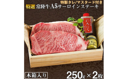 肉 常陸牛A5 サーロインステーキ 250g×2枚＜木箱入り・特製タレ/マスタード付き＞肉のイイジマ（DU-13）