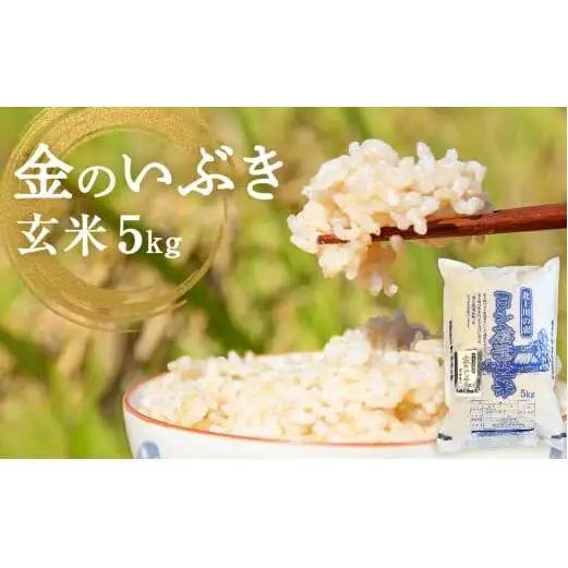 令和7年産 金のいぶき（玄米）5kg