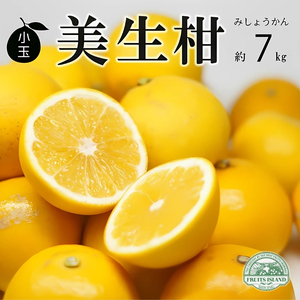 【訳あり】 小玉 美生柑 数量限定 約7kg 愛媛県 愛南町 フルーツアイランド・マルエム直販