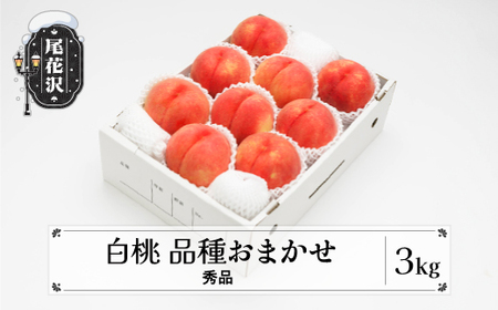 先行予約 桃 もも 白桃 秀品 品種おまかせ 3kg フルーツ 化粧箱入 果物 令和8年産 2026年産 山形県産 モモ ns-mohtx3