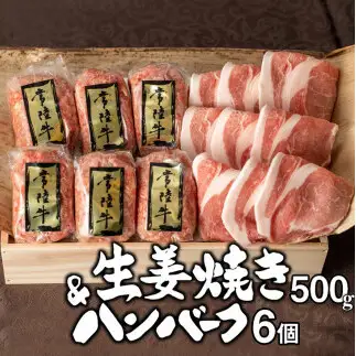 肉 常陸牛100% 無添加 ハンバーグ6個＆茨城豚ロース生姜焼き500gセット 肉のイイジマ（DU-27）