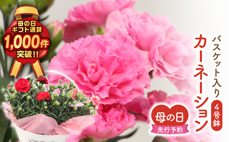 【母の日ギフト】5月6日まで 先行予約 母の日 カーネーション 2種 4号鉢 バスケット 福島県 田村市