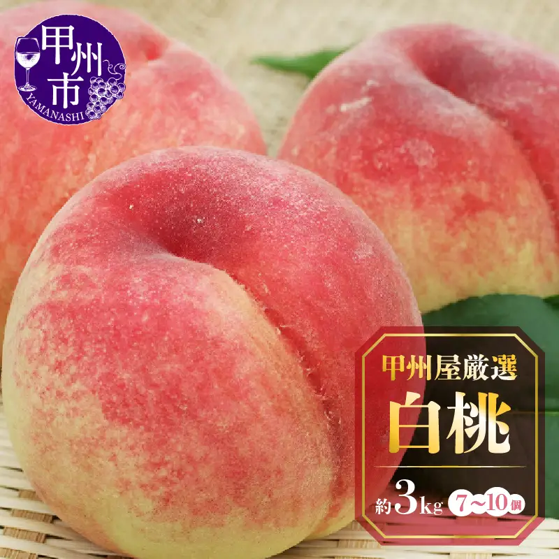 甲州屋厳選 白桃 約3kg 7～10玉【2026年発送】C-192 桃 フルーツ
