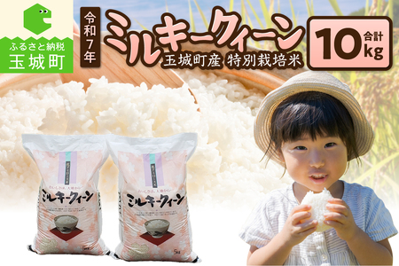 令和7年ミルキークイーン10kg [米 白米]