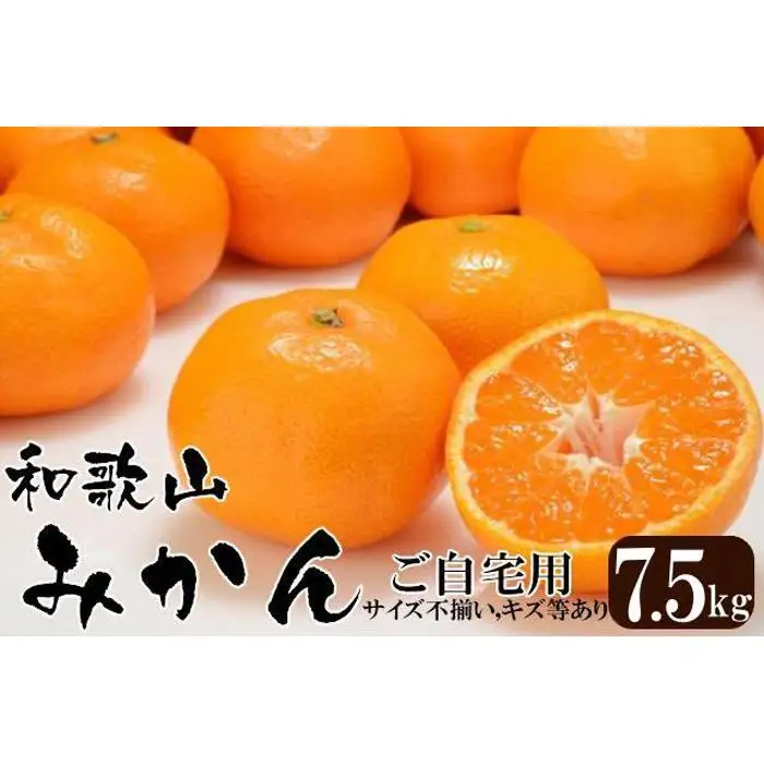 みかん 和歌山産 ［訳あり］ミカン 7 . 5kg ［ご自宅用・サイズ不揃い・キズ等あり］