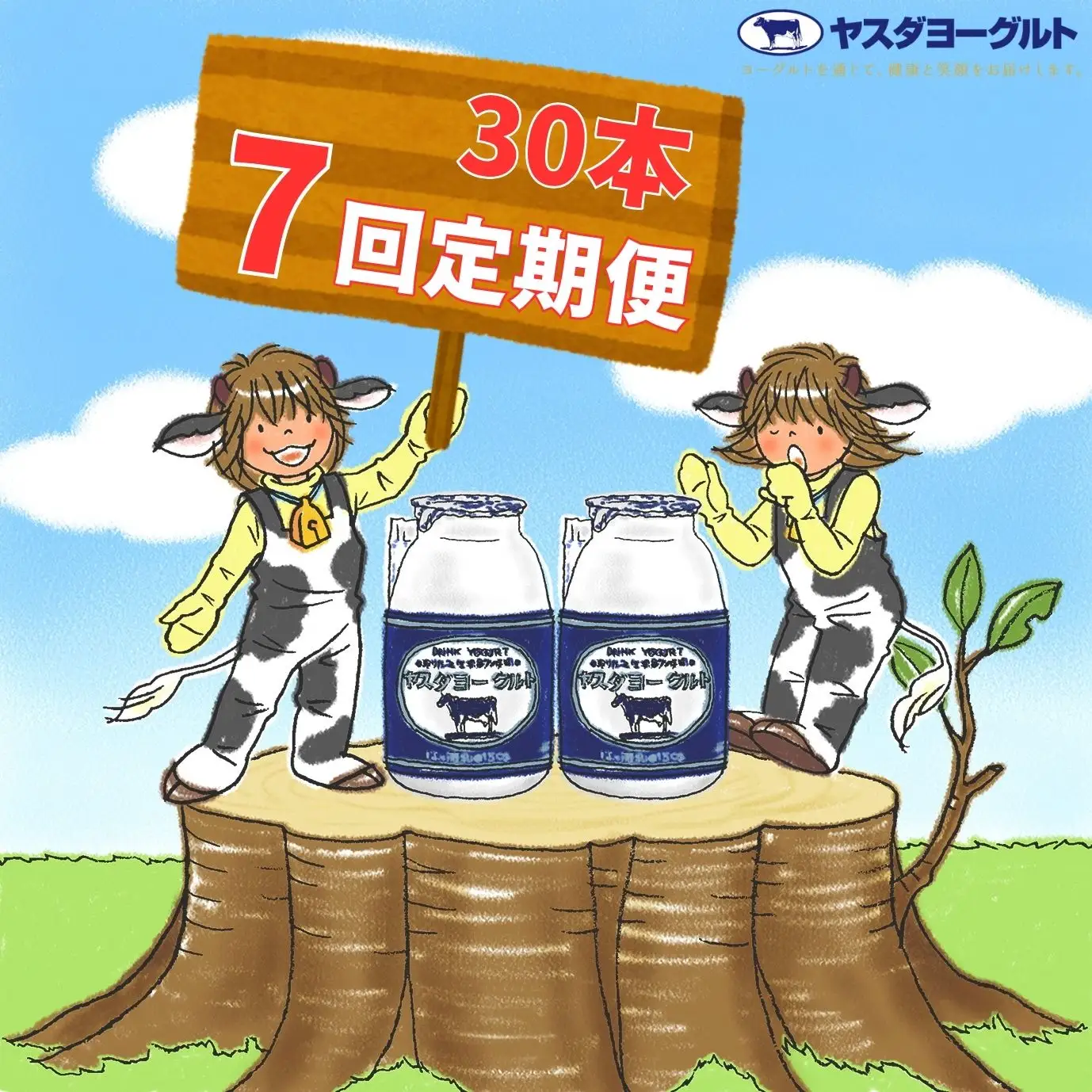 【7か月定期便】ヤスダヨーグルト 150g×30本×7回 小ボトル こだわり生乳 新鮮 濃厚 飲むヨーグルト のむよーぐると ヨーグルト 1B14092