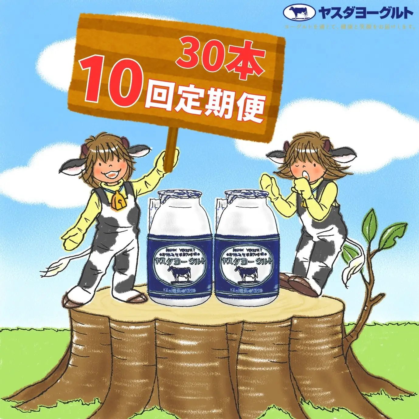 【10か月定期便】ヤスダヨーグルト 150g×30本×10回 小ボトル こだわり生乳 新鮮 濃厚 飲むヨーグルト のむよーぐると ヨーグルト 1B15131