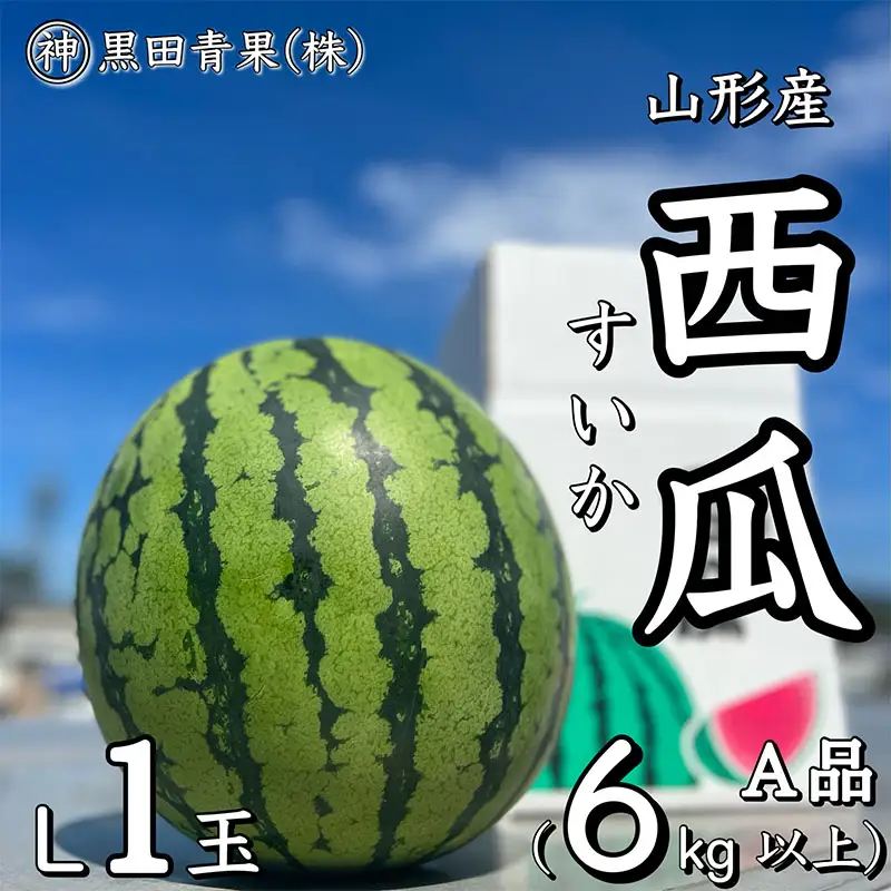 山形産 西瓜(すいか) L 1玉(6kg以上)【令和8年産先行予約】FU23-060 くだもの 果物 フルーツ 山形 山形県 山形市 2026年産