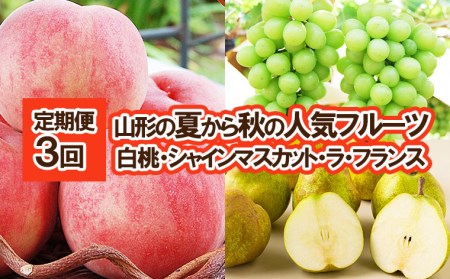 ★定期便3回★山形の夏から秋の人気フルーツ(白桃・シャインマスカット・ラフランス) 【令和8年産先行予約】FS25-687 くだもの 果物 フルーツ 山形 山形県 山形市 2026年産
