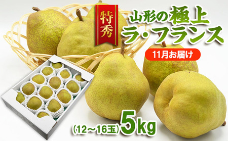 【特秀】山形の極上 ラフランス 特秀品 約5kg(12～16玉)[11月お届け]【令和8年産先行予約】 FS25-780