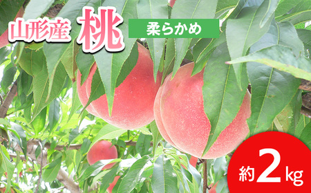 山形の桃 [柔らかめ] 約2kg(4～9玉) 【令和8年産先行予約】FS24-661 くだもの 果物 フルーツ 山形 山形県 山形市 2026年産