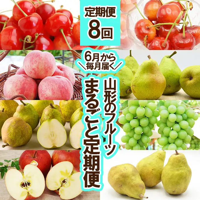 ★定期便8回★【6月から毎月届く】山形のフルーツまるごと定期便 【令和8年産先行予約】FS25-637 くだもの 果物 フルーツ 山形 山形県 山形市 2026年産