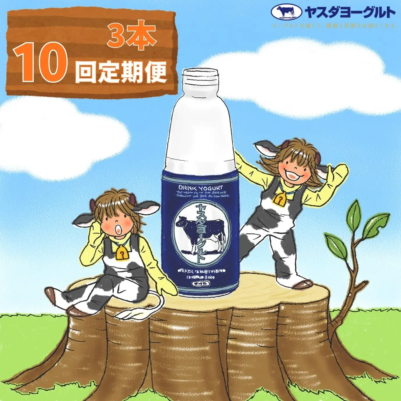 10ヶ月定期便 】ヤスダヨーグルト 800g×3本×10回 大ボトル 無添加 搾り