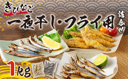【 津曲商店 】 きびなご 一夜干し、 フライ用 詰合せ 1kg K100-001 魚 冷凍
