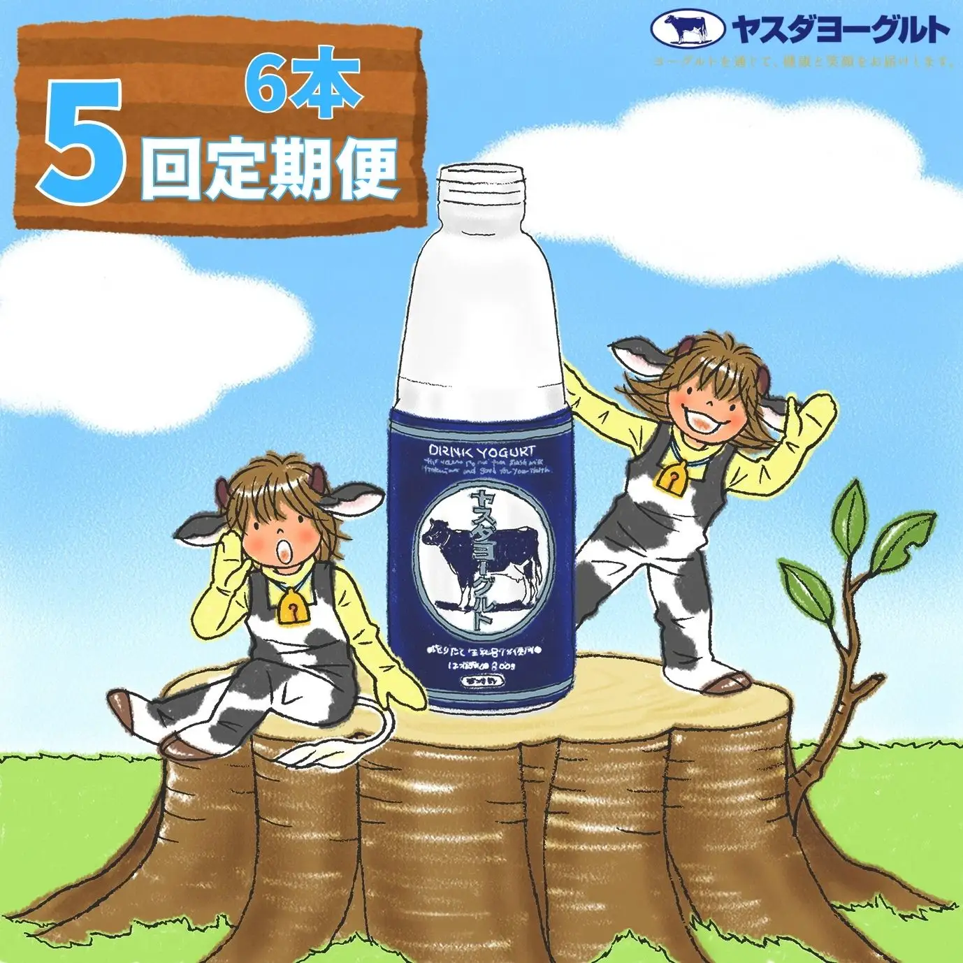 【5ヶ月定期便】ヤスダヨーグルト 800g×6本×5回 大ボトル 無添加 搾りたて こだわり生乳 濃厚 飲むヨーグルト のむよーぐると ヨーグルト 1B55046