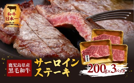 鹿児島県産黒毛和牛サーロインステーキ K098-002 肉 牛肉 冷凍