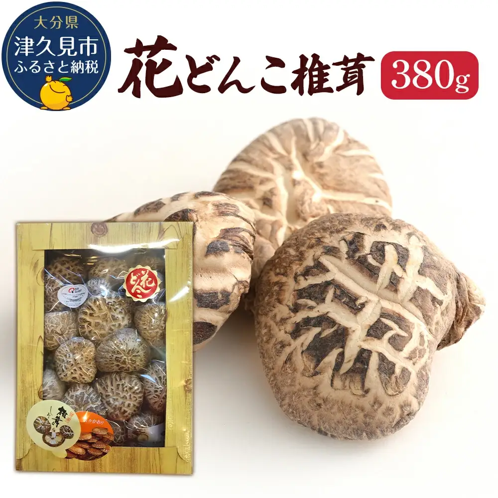 最高級椎茸 大分県産 花どんこ 椎茸 380g | 津久見市