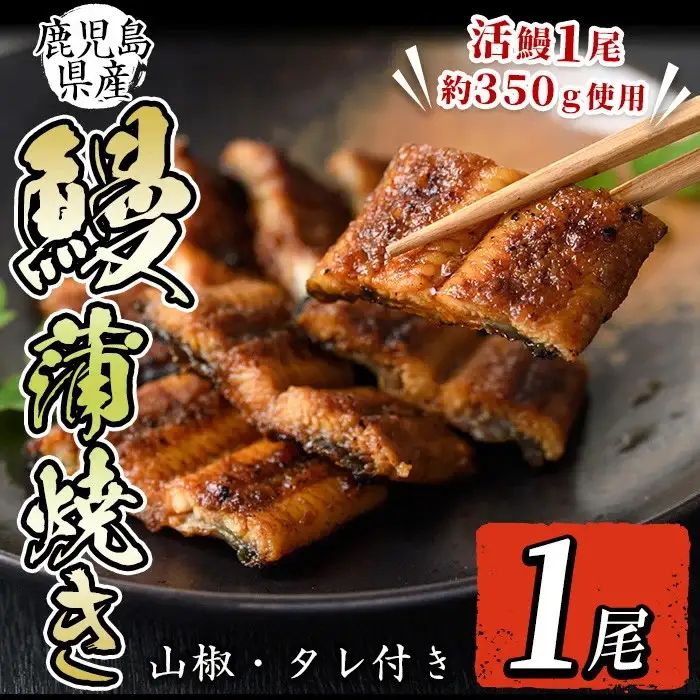 i800 鹿児島県産 うなぎ蒲焼(1尾) うなぎ 鰻 ウナギ 蒲焼 国産 鹿児島県産 おかず 晩御飯 特別な日 土用の丑の日【とらふぐ家】