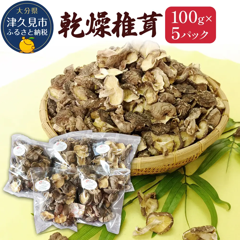 乾燥椎茸 訳あり 椎茸 100g×5パック | 津久見市
