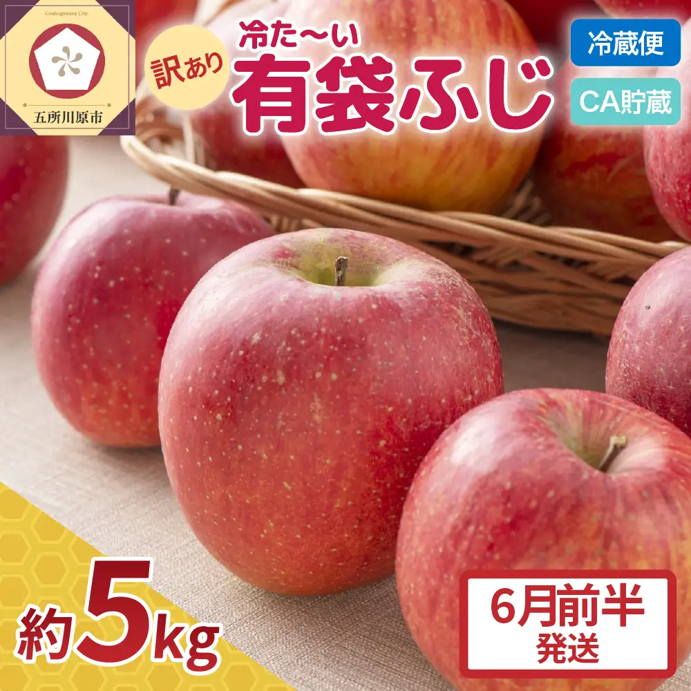 りんご ふじ 訳あり 約5kg 【2026年6月前半発送】 りんご